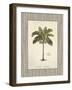 Nut Palm Illustration-Arnie Fisk-Framed Art Print