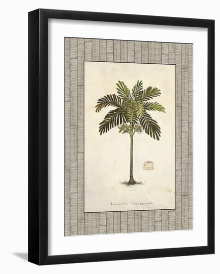 Nut Palm Illustration-Arnie Fisk-Framed Art Print