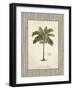 Nut Palm Illustration-Arnie Fisk-Framed Art Print