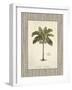 Nut Palm Illustration-Arnie Fisk-Framed Art Print