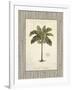 Nut Palm Illustration-Arnie Fisk-Framed Art Print