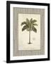 Nut Palm Illustration-Arnie Fisk-Framed Art Print