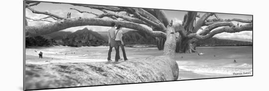 Nut Tree-Thomas Barbey-Mounted Giclee Print