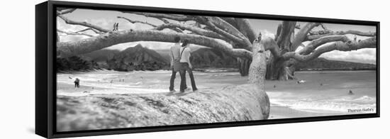 Nut Tree-Thomas Barbey-Framed Stretched Canvas