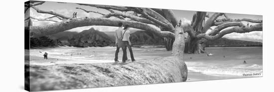 Nut Tree-Thomas Barbey-Stretched Canvas