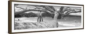 Nut Tree-Thomas Barbey-Framed Premium Giclee Print