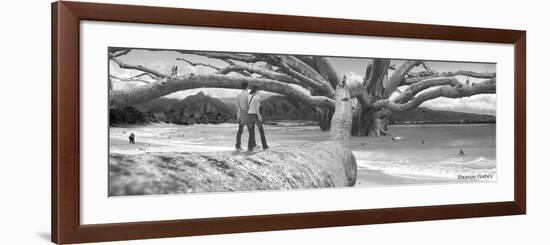 Nut Tree-Thomas Barbey-Framed Premium Giclee Print