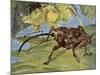 Nut Weevil (Curculio Nucum), Curculionidae-null-Mounted Giclee Print