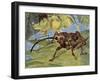 Nut Weevil (Curculio Nucum), Curculionidae-null-Framed Giclee Print