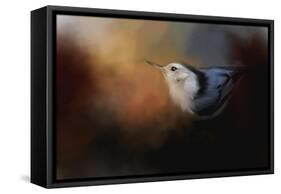 Nuthatch in Autumn-Jai Johnson-Framed Stretched Canvas