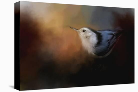 Nuthatch in Autumn-Jai Johnson-Stretched Canvas