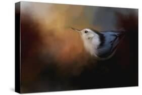 Nuthatch in Autumn-Jai Johnson-Stretched Canvas