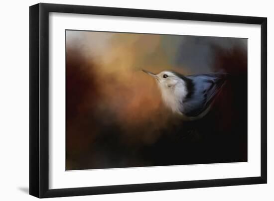 Nuthatch in Autumn-Jai Johnson-Framed Giclee Print