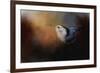 Nuthatch in Autumn-Jai Johnson-Framed Giclee Print