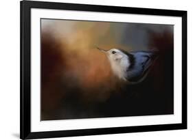 Nuthatch in Autumn-Jai Johnson-Framed Giclee Print