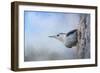 Nuthatch in the Snow-Jai Johnson-Framed Giclee Print