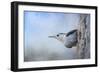 Nuthatch in the Snow-Jai Johnson-Framed Giclee Print