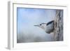 Nuthatch in the Snow-Jai Johnson-Framed Giclee Print