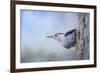 Nuthatch in the Snow-Jai Johnson-Framed Premium Giclee Print