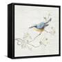 Nuthatch Vintage-Danhui Nai-Framed Stretched Canvas