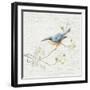 Nuthatch Vintage-Danhui Nai-Framed Art Print