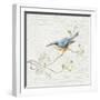 Nuthatch Vintage-Danhui Nai-Framed Art Print