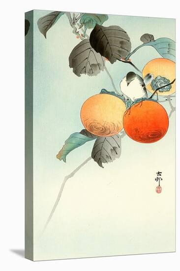 Nuthatcher Atop Persimmon-Koson Ohara-Stretched Canvas