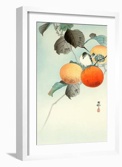 Nuthatcher Atop Persimmon-Koson Ohara-Framed Giclee Print