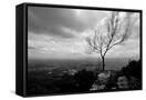 Canvas Black