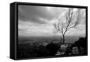 Framed Canvas