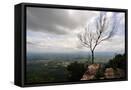 Framed Canvas