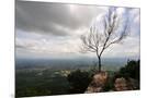 Wood Mount