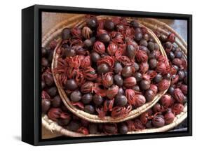 Nutmeg in Public Market, Castries, Caribbean-Greg Johnston-Framed Stretched Canvas