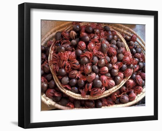 Nutmeg in Public Market, Castries, Caribbean-Greg Johnston-Framed Premium Photographic Print