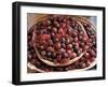 Nutmeg in Public Market, Castries, Caribbean-Greg Johnston-Framed Premium Photographic Print