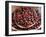 Nutmeg in Public Market, Castries, Caribbean-Greg Johnston-Framed Premium Photographic Print