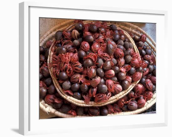 Nutmeg in Public Market, Castries, Caribbean-Greg Johnston-Framed Photographic Print