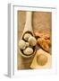 Nutmegs in Wooden Spoon, Mace and Ground Nutmeg-Foodcollection-Framed Photographic Print