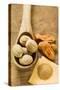 Nutmegs in Wooden Spoon, Mace and Ground Nutmeg-Foodcollection-Stretched Canvas
