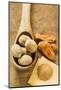 Nutmegs in Wooden Spoon, Mace and Ground Nutmeg-Foodcollection-Mounted Photographic Print