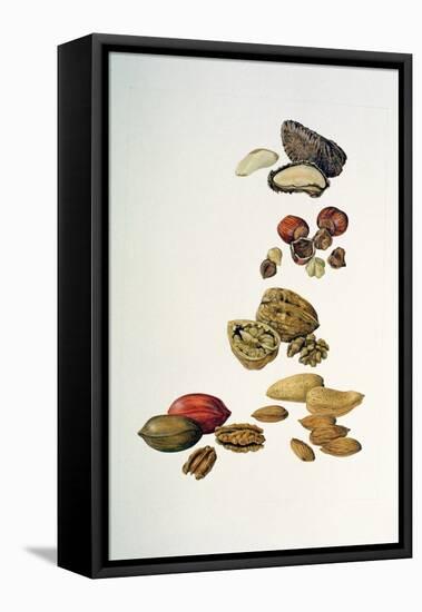 Nuts-Felicity House-Framed Stretched Canvas