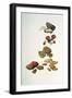 Nuts-Felicity House-Framed Giclee Print