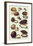 Nuts-null-Framed Art Print