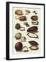 Nuts-null-Framed Art Print