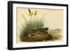 Nuttails Whipoorwill-John James Audubon-Framed Art Print