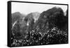 Nuuanu Valley, Hawaii - View of Upside Down Falls Photograph-Lantern Press-Framed Stretched Canvas
