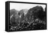 Nuuanu Valley, Hawaii - View of Upside Down Falls Photograph-Lantern Press-Framed Stretched Canvas