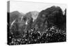 Nuuanu Valley, Hawaii - View of Upside Down Falls Photograph-Lantern Press-Stretched Canvas