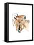 Nuzzle (Przewalski), 2013-Mark Adlington-Framed Stretched Canvas