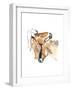 Nuzzle (Przewalski), 2013-Mark Adlington-Framed Giclee Print